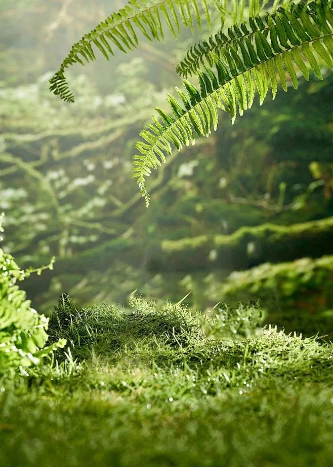 1712470026505967.jpg 微信圖片_20240407140246.jpg